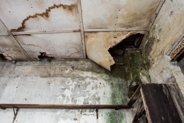 Water Damage Service in Lenoir City