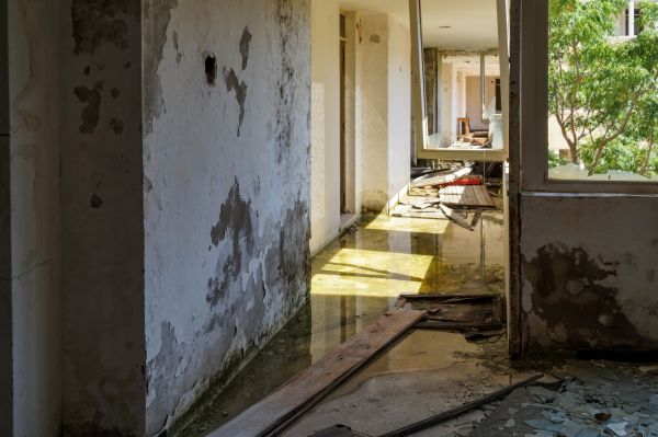 Water Removal Service in Lenoir City